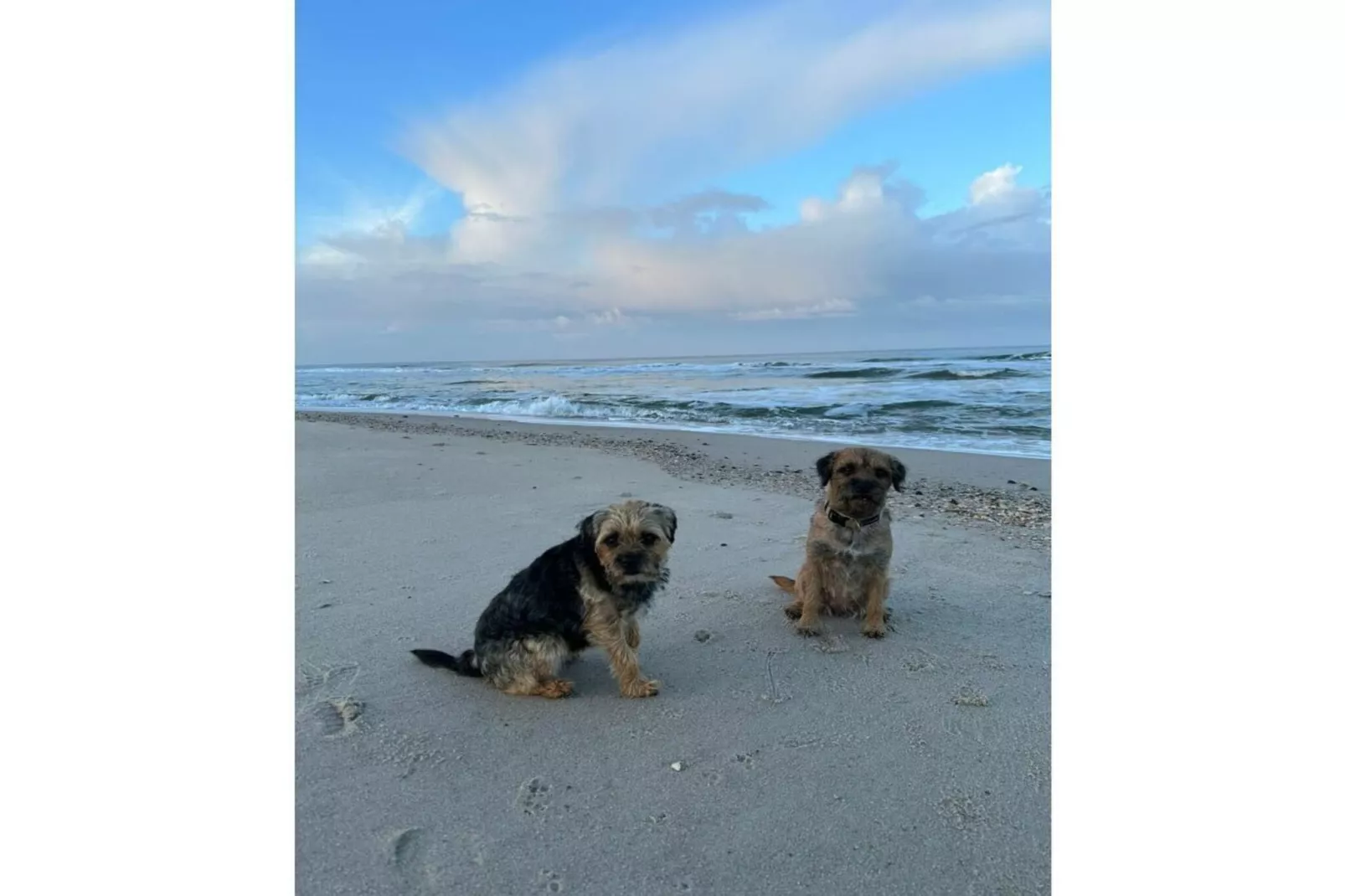 393597-Areas within 5km in summer