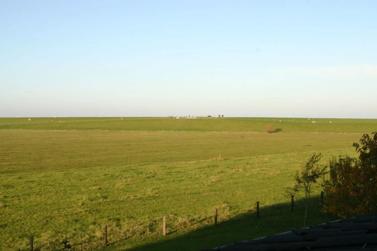 191412-Areas within 5km in summer