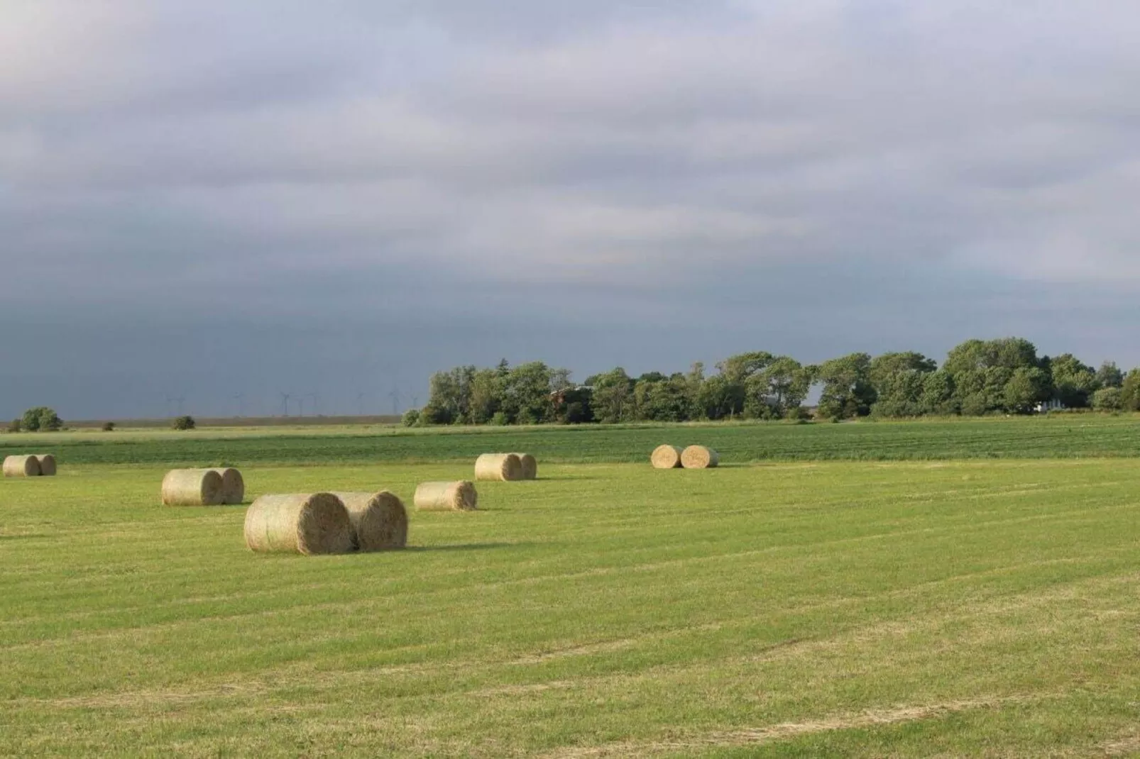 490310-Areas within 5km in summer