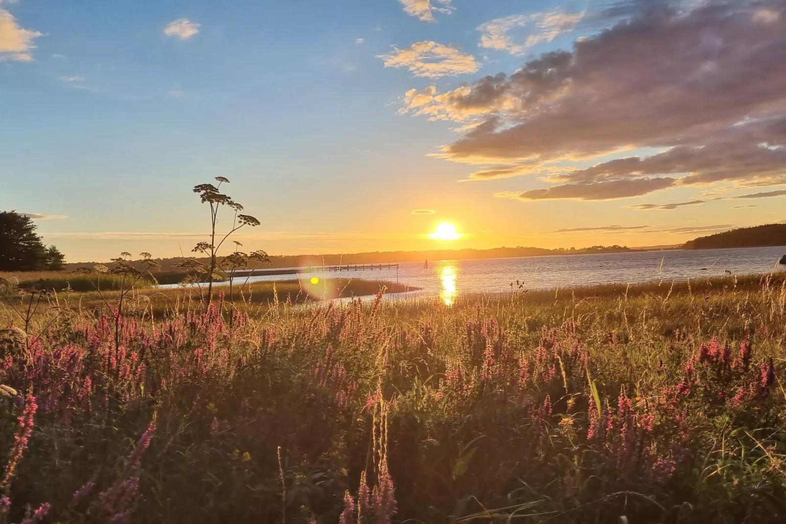 4 etoiles maison de vacances a tånumshede-By Traum - Non tagué