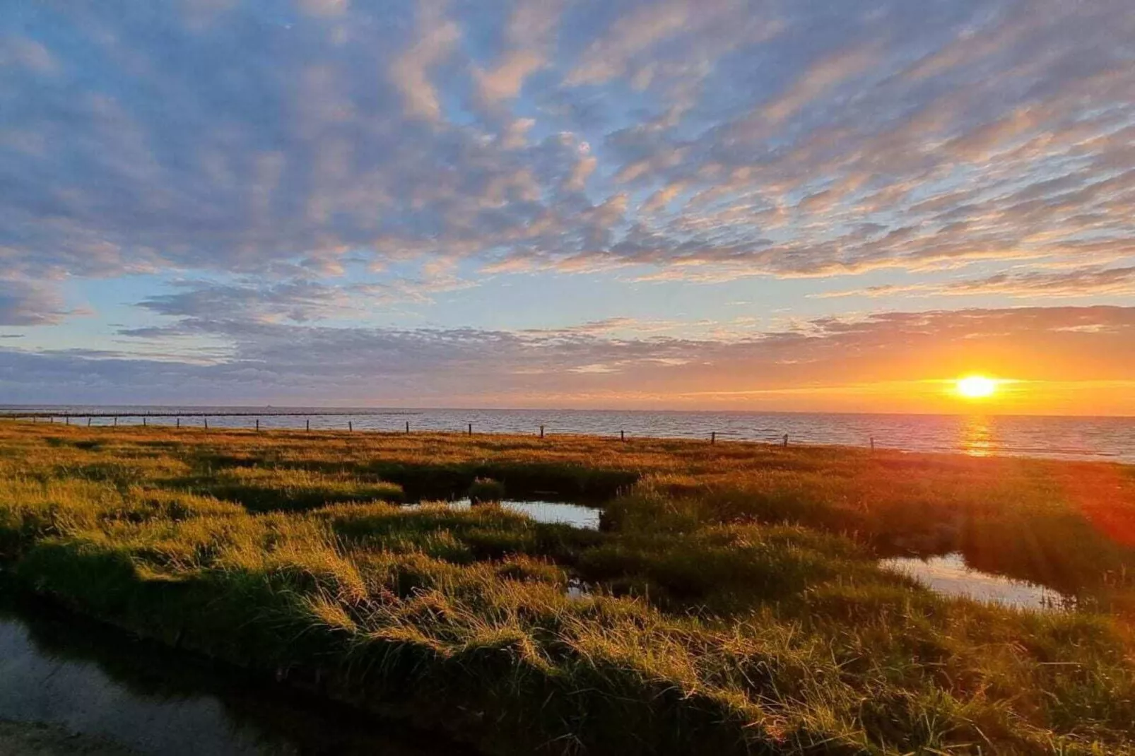 487221-Gebiete Sommer 5 km