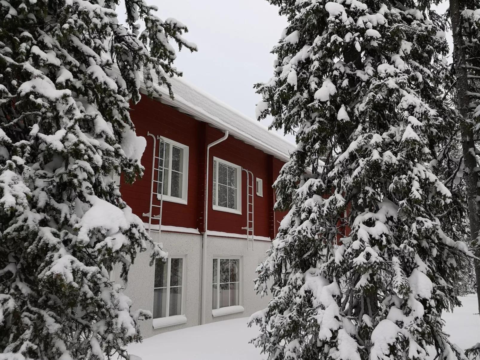 Yllästar 3 as 601-Dedans