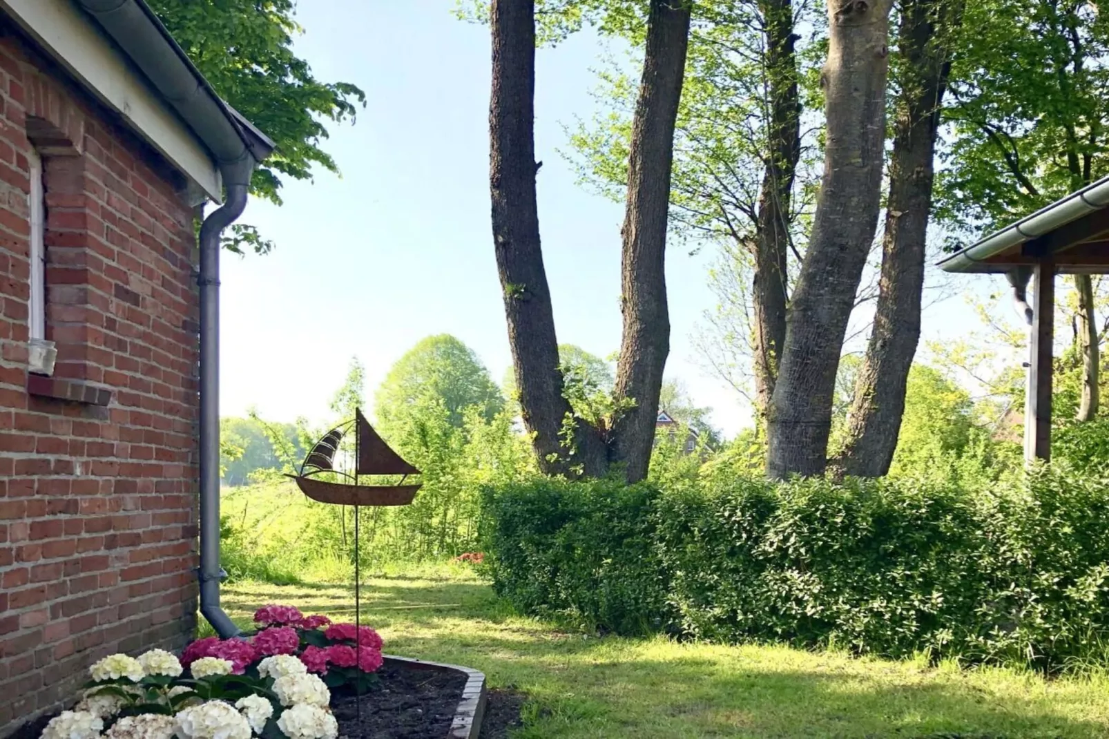 218583-Gardens in summer