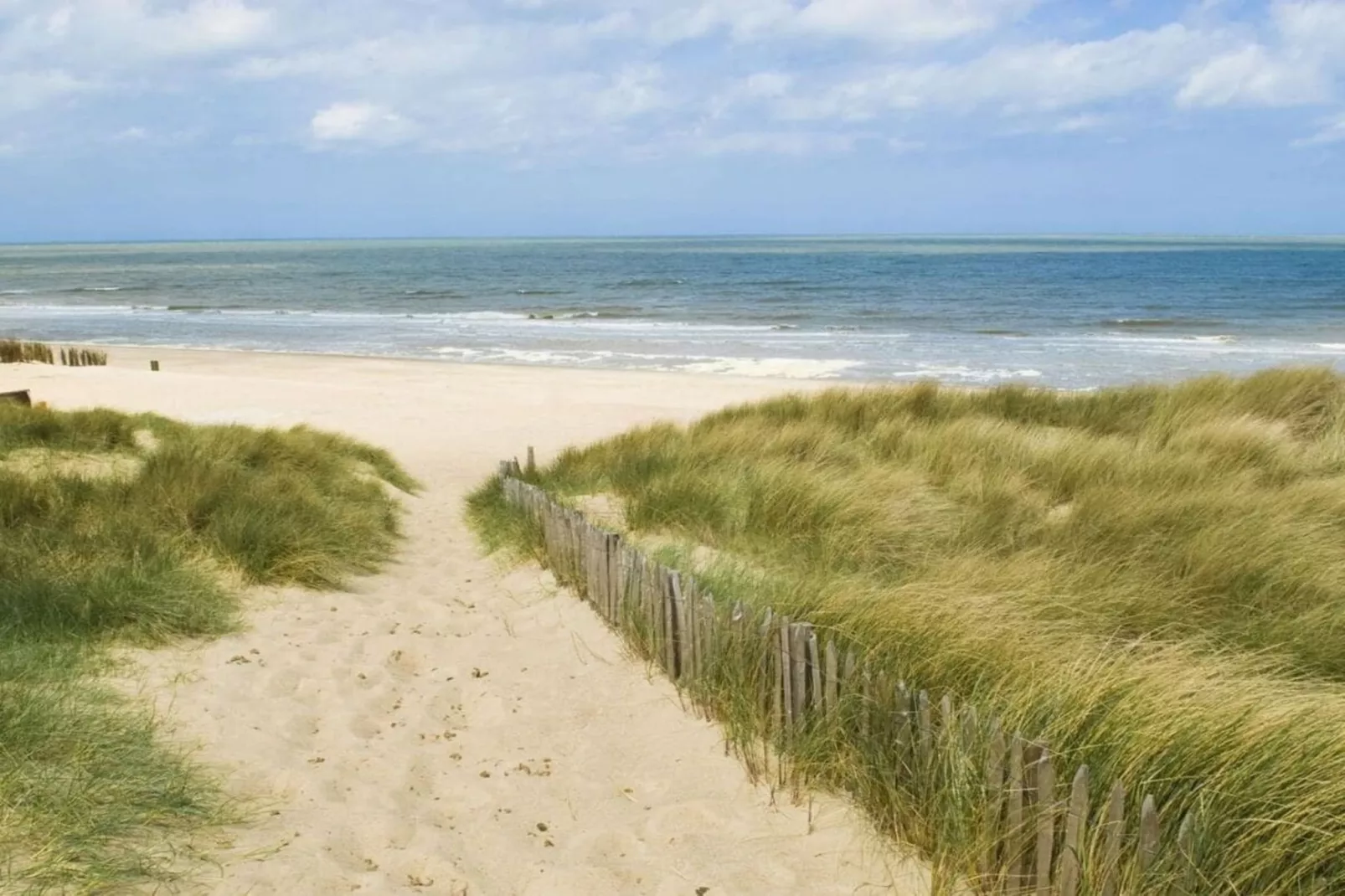 381616-Areas within 5km in summer