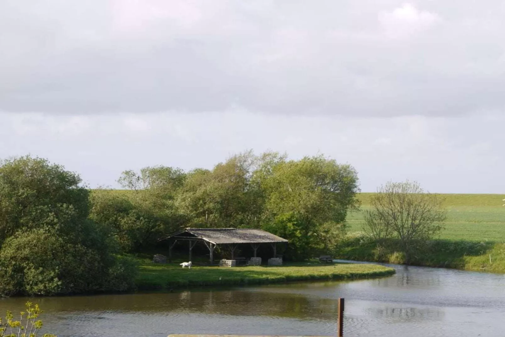 97779-Image-tags.water view