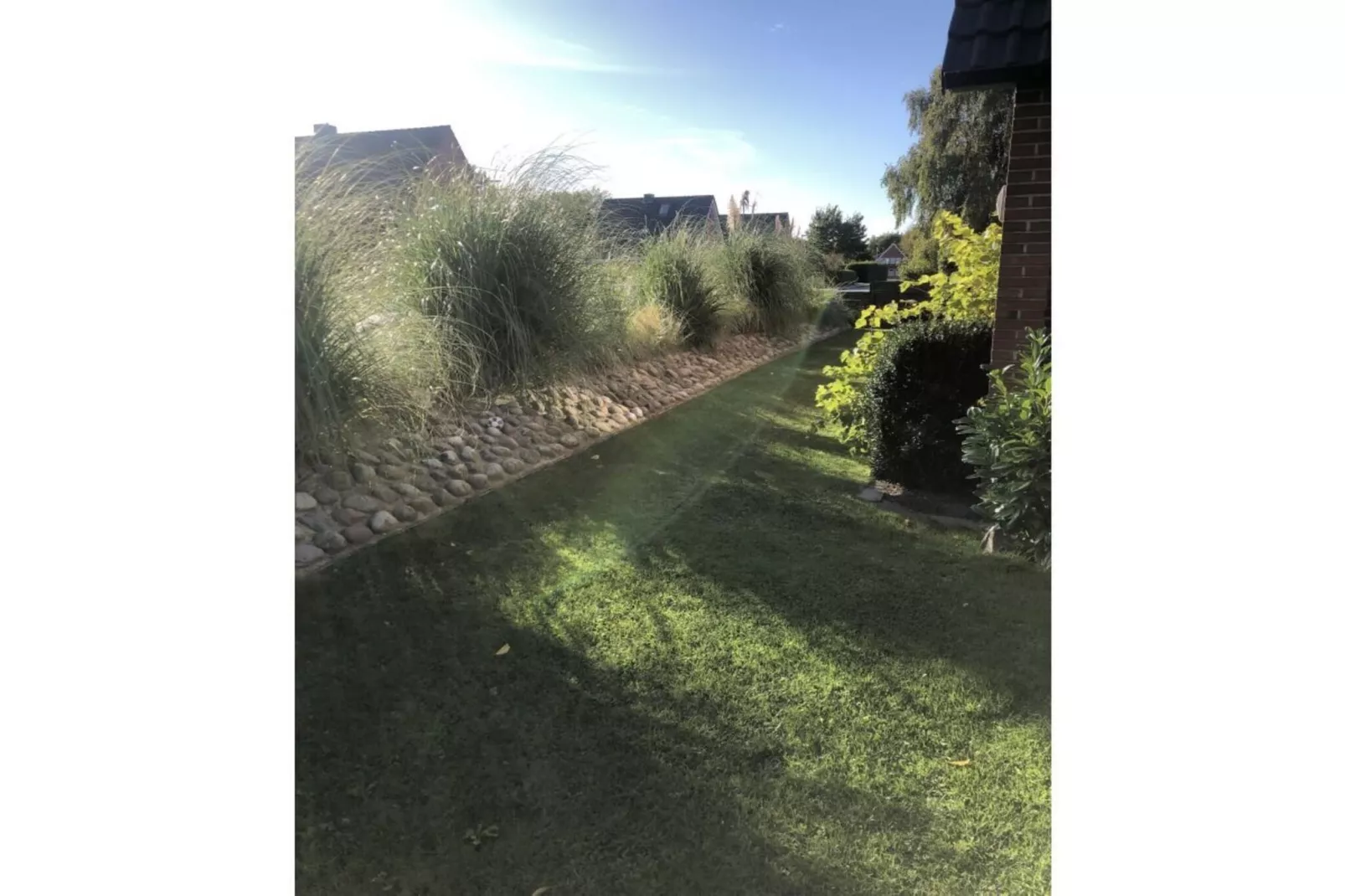 589224-Jardins en été