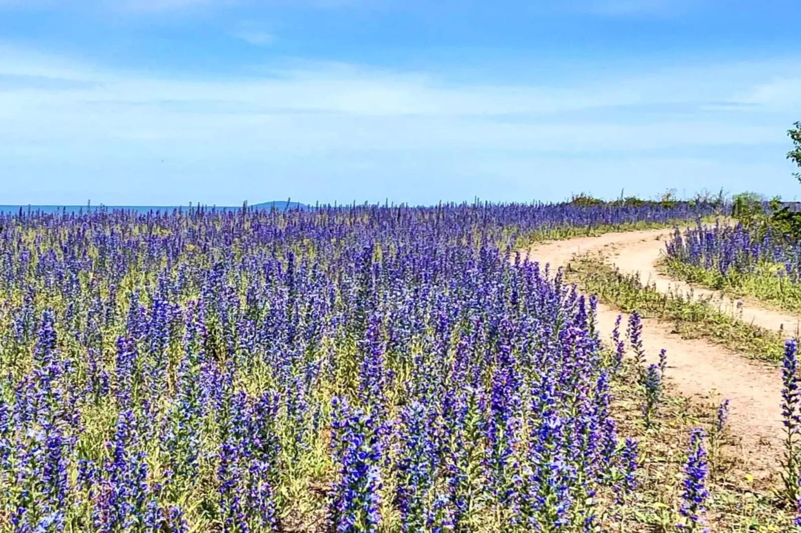 Maison de vacances pour 6 a LÖTTORP-Non tagué