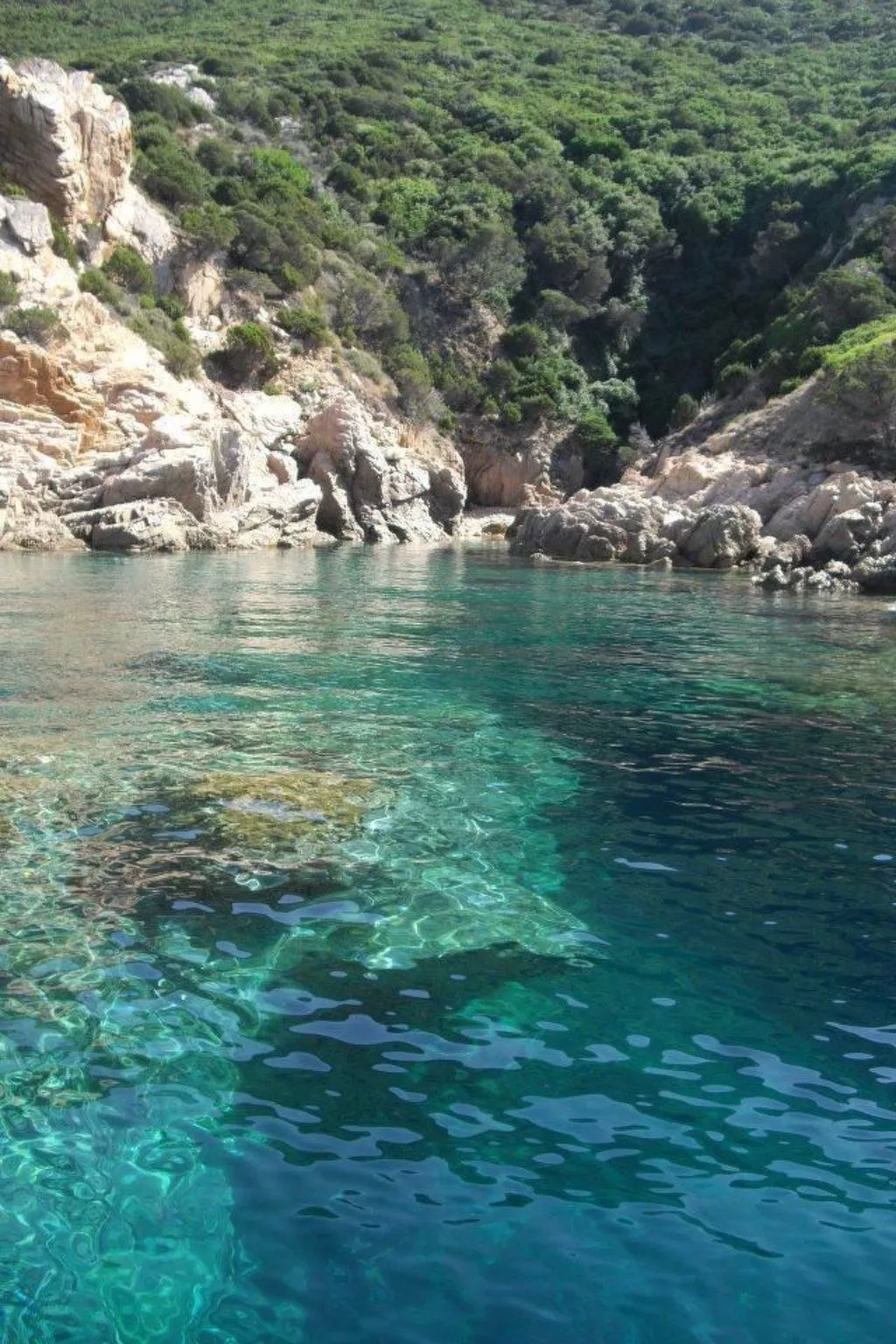 Wohnung 'Rosa 3' mit Terrasse-Dehors