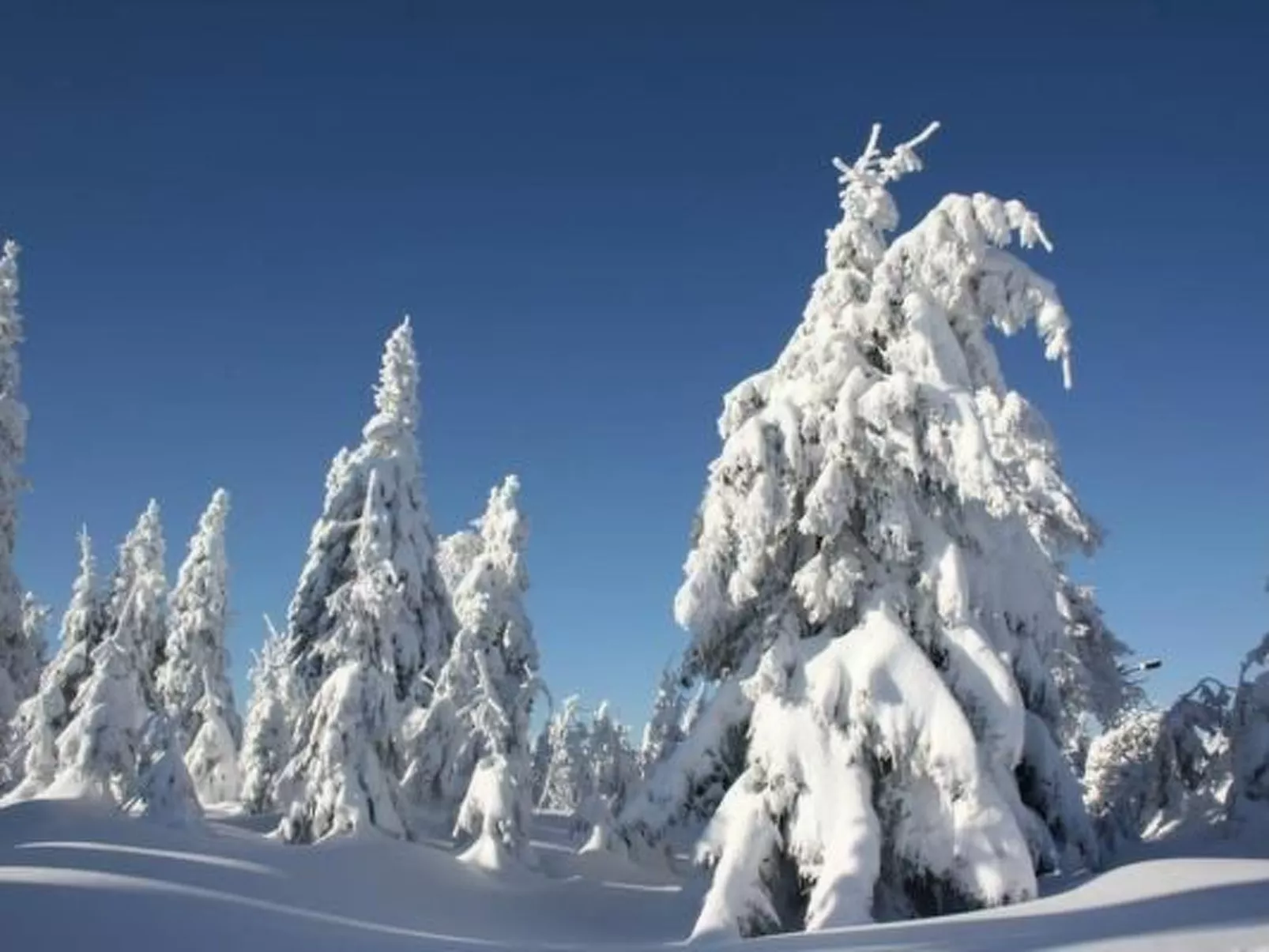 Fewo Silberglanz-Dehors