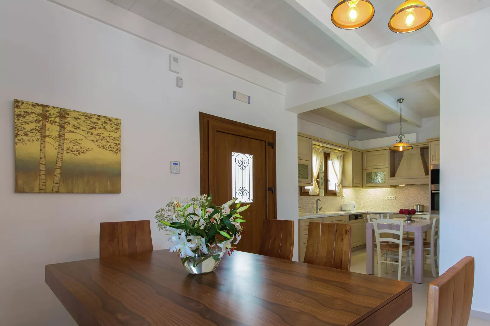 Petro Kampos Villa 1-Kitchen