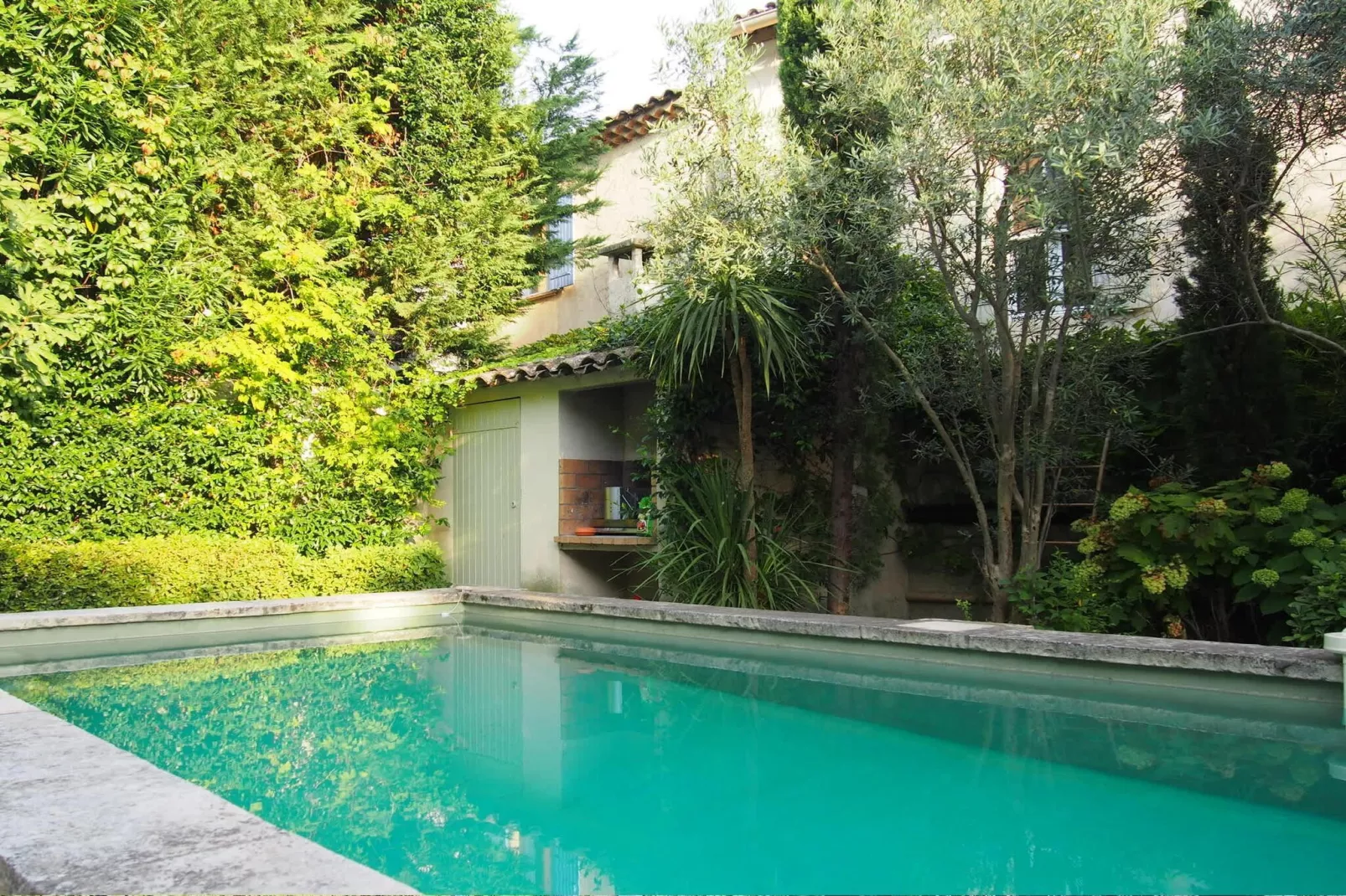 Mas Maillane demeure du XVIIIe entièrement rénové-Swimming pool