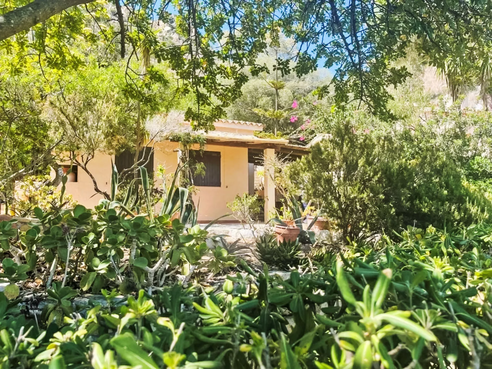 Casa Pellicano-Dehors