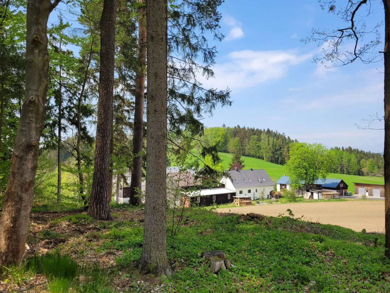 Fichtel-Tiny House - Image-tags.info