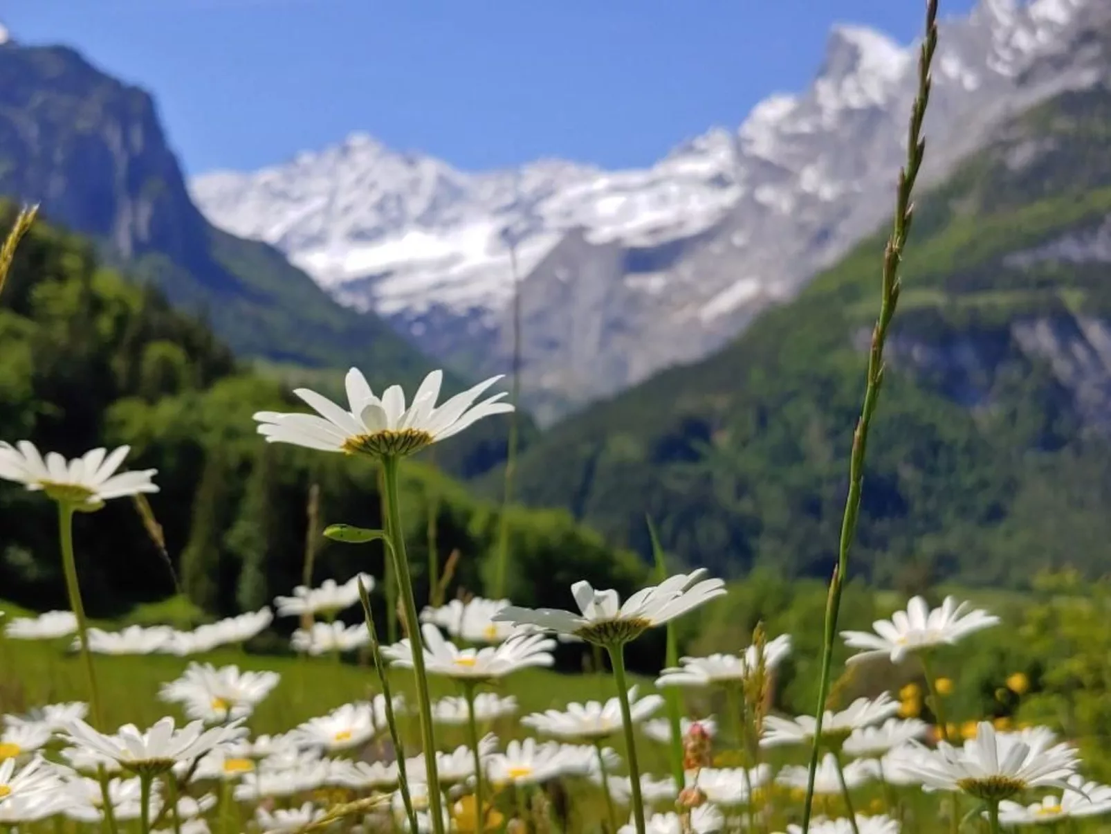 Wohnung Mit 2 Schlafzimmern “Alleschwendi” - Image-tags.info