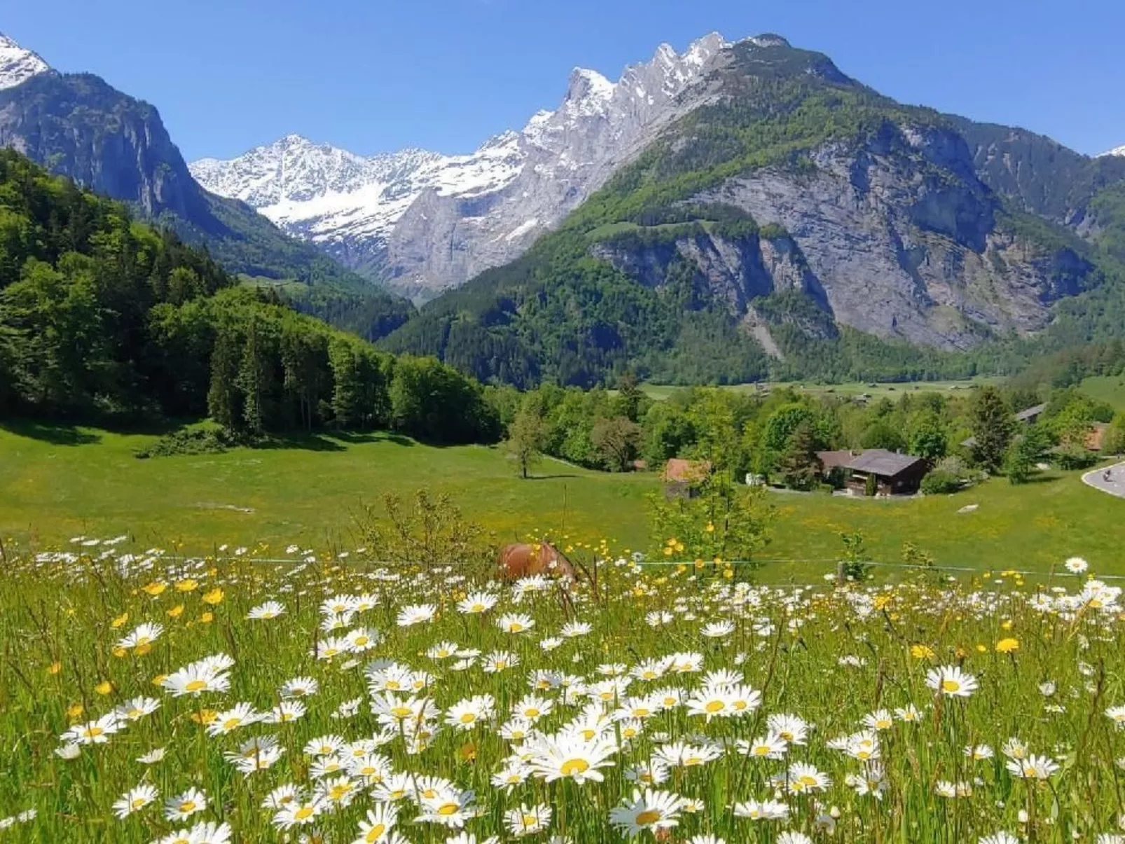 Wohnung mit 3 Schlafzimmern “Wylerdümen” - Image-tags.info