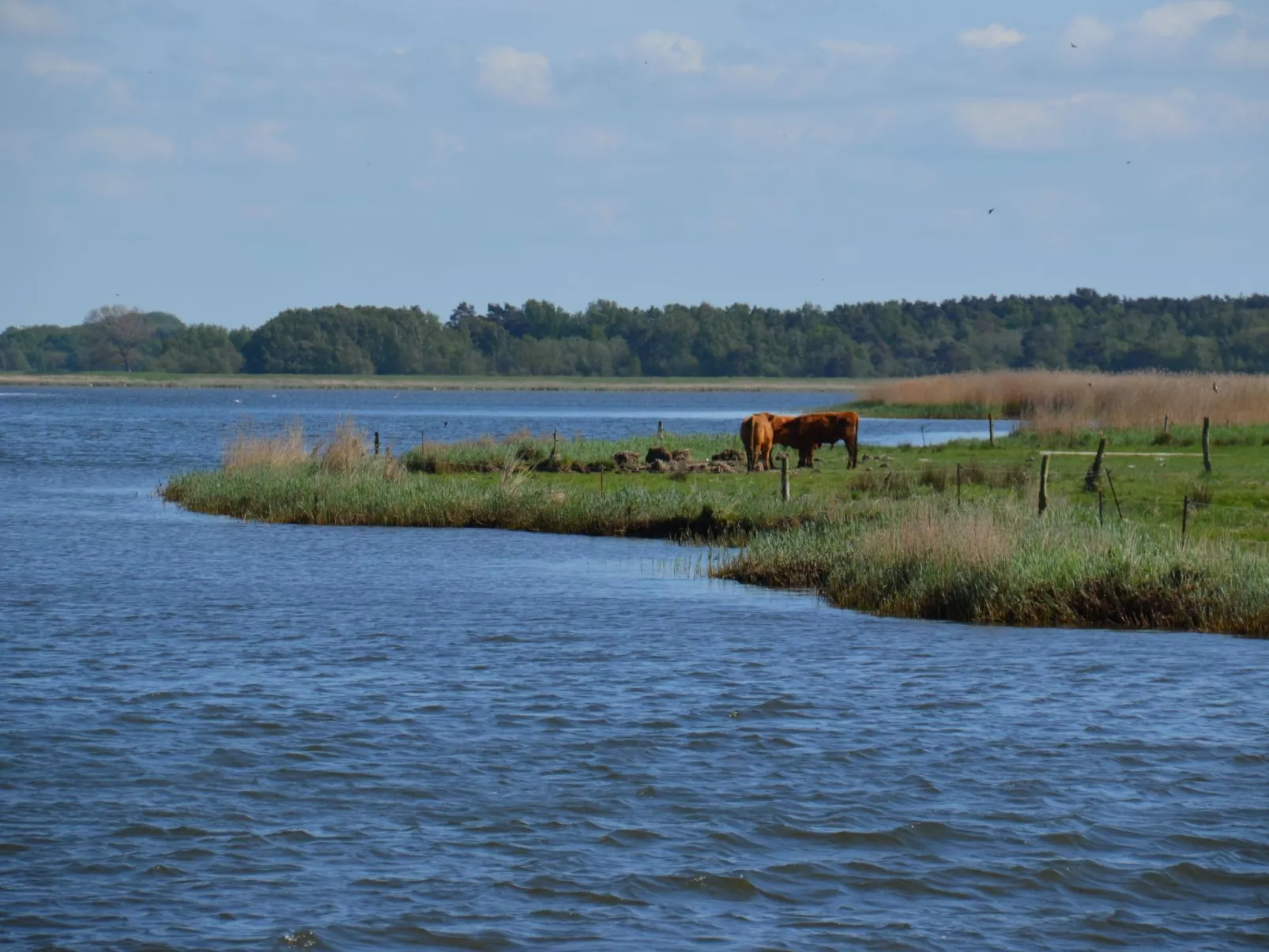 Wohnung für sechs Personen im Dachgeschoss - Image-tags.info
