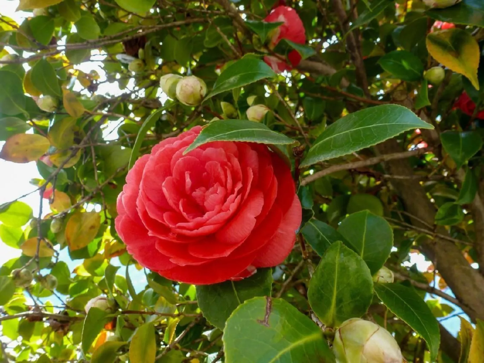 Casa Riale unten - Image-tags.info