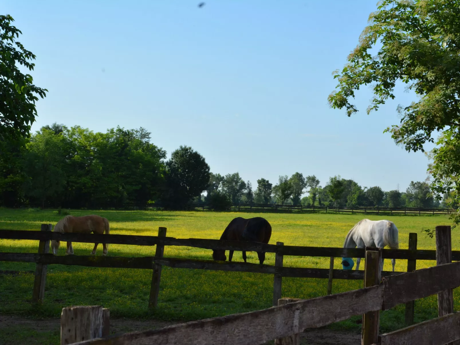 Apartment "Magalita" - Image-tags.info