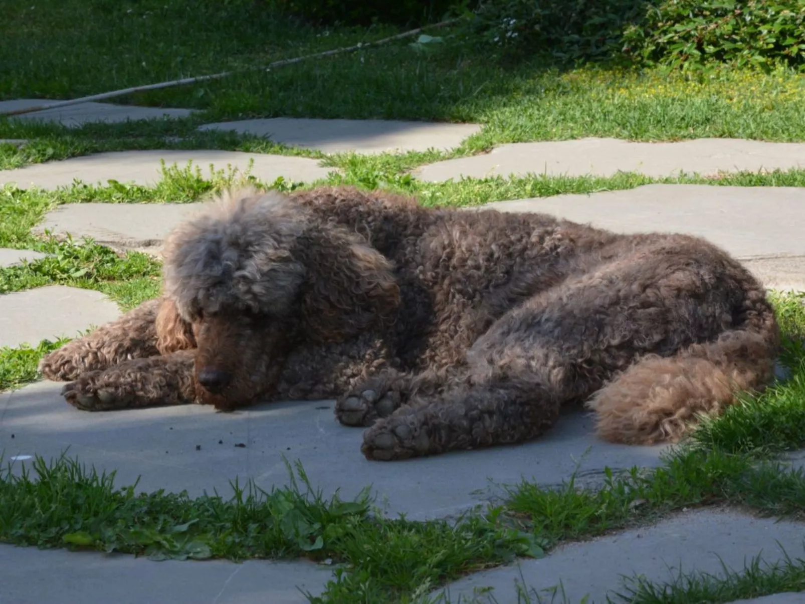 Apartment "Monika" - Image-tags.info