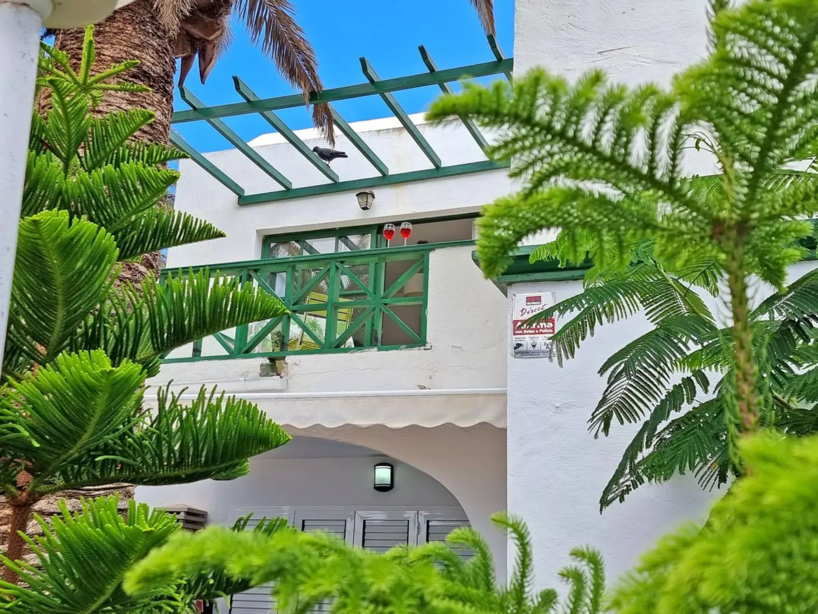 Palm Garden - Image-tags.info