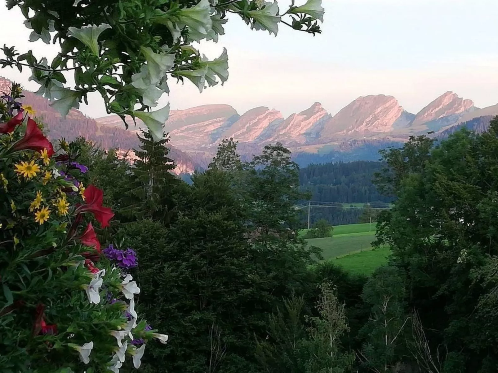 Gemütliche und geräumige Ferienwohnung - Dehors