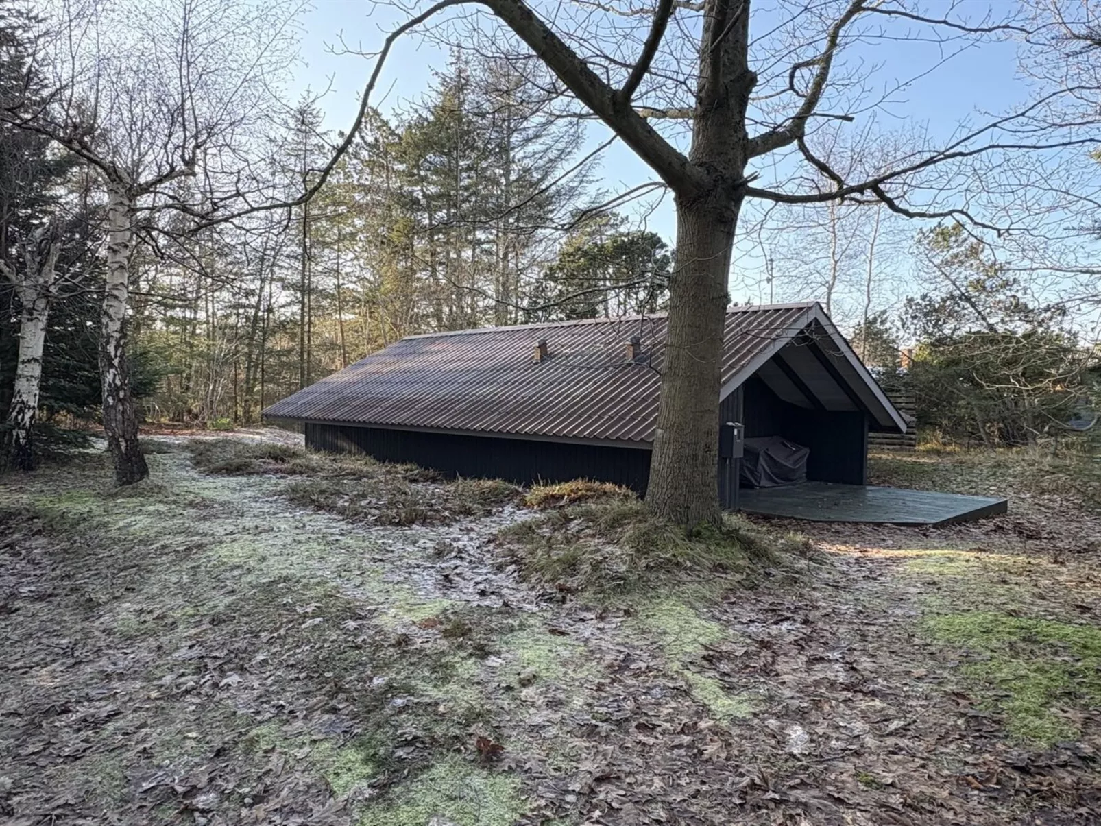 "Elfrede" - 900m from the sea - Outside