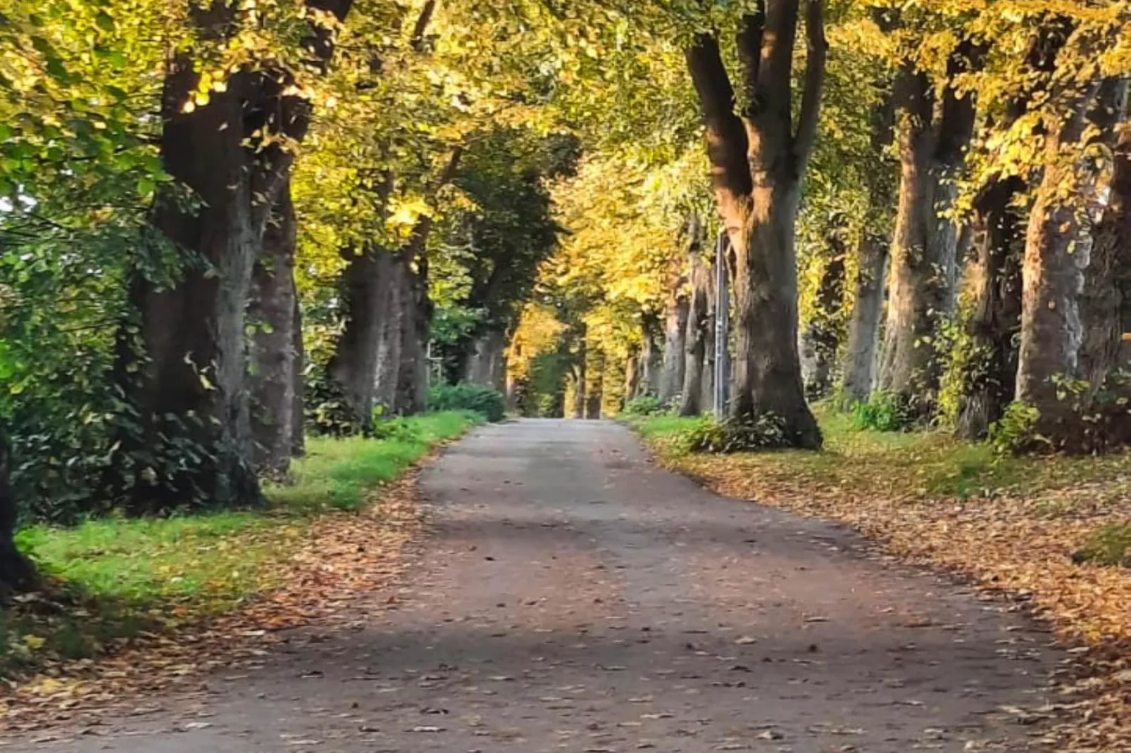Ferienhaus in Steinheim-Areas within 1km in summer
