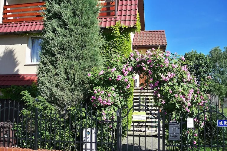 Dom wakacyjny w Stepnicy 7 osób - Außenbereich Sommer