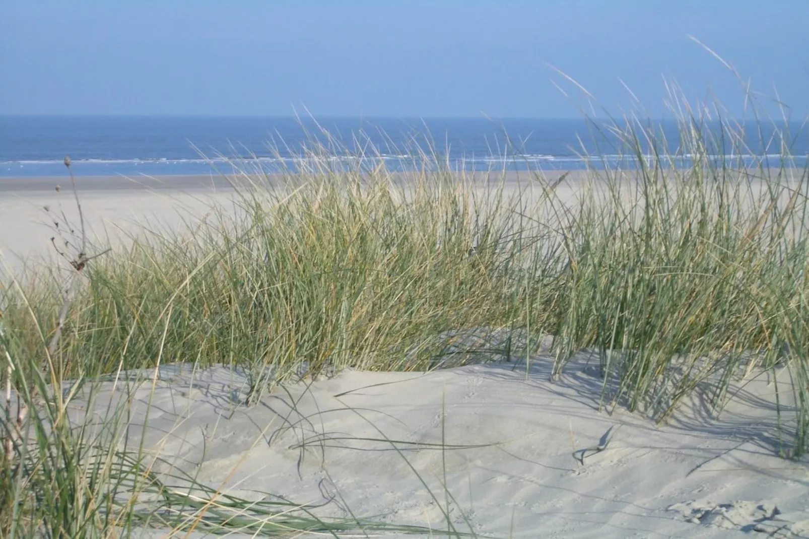 249875-Gebiete Sommer 5 km