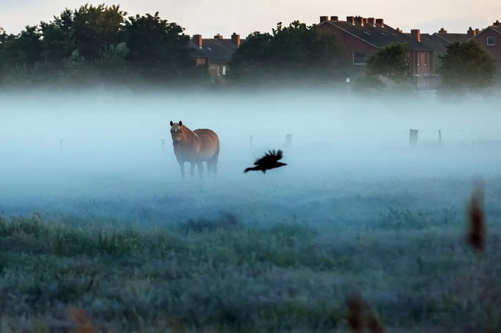 21220-Gebiete Sommer 5 km
