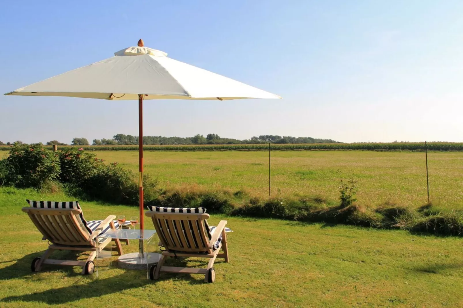 142985-Jardins en été