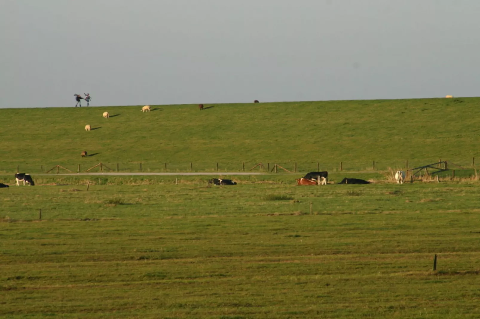 191412-Areas within 5km in summer