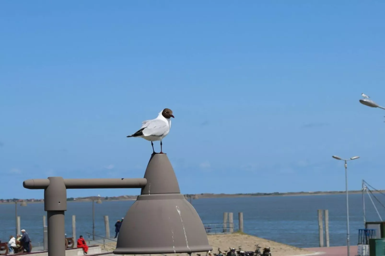 76469-Außenbereich Sommer