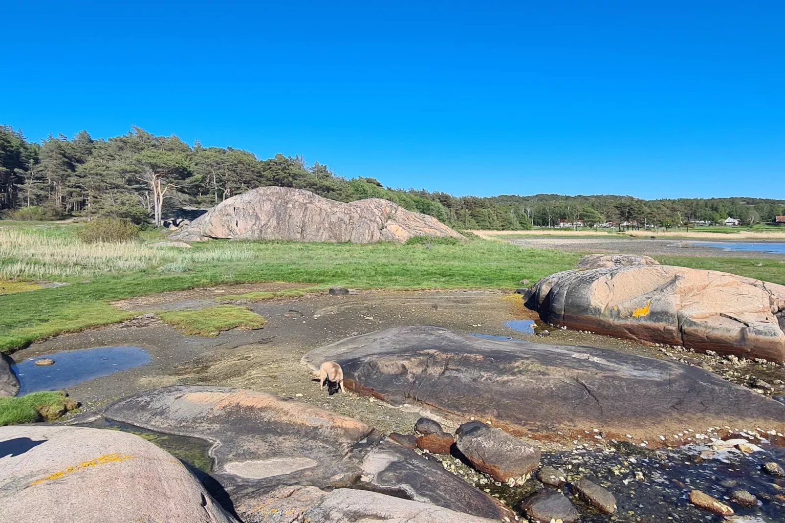 4 etoiles maison de vacances a tånumshede-By Traum - Non tagué