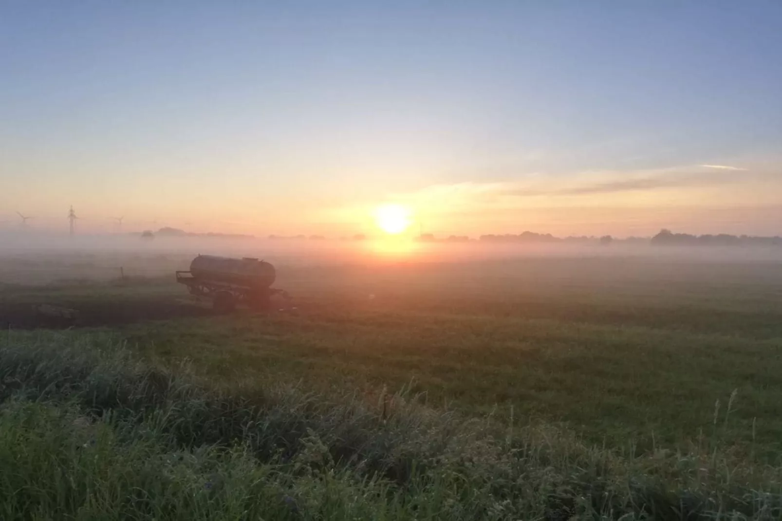 271353-Gardens in summer