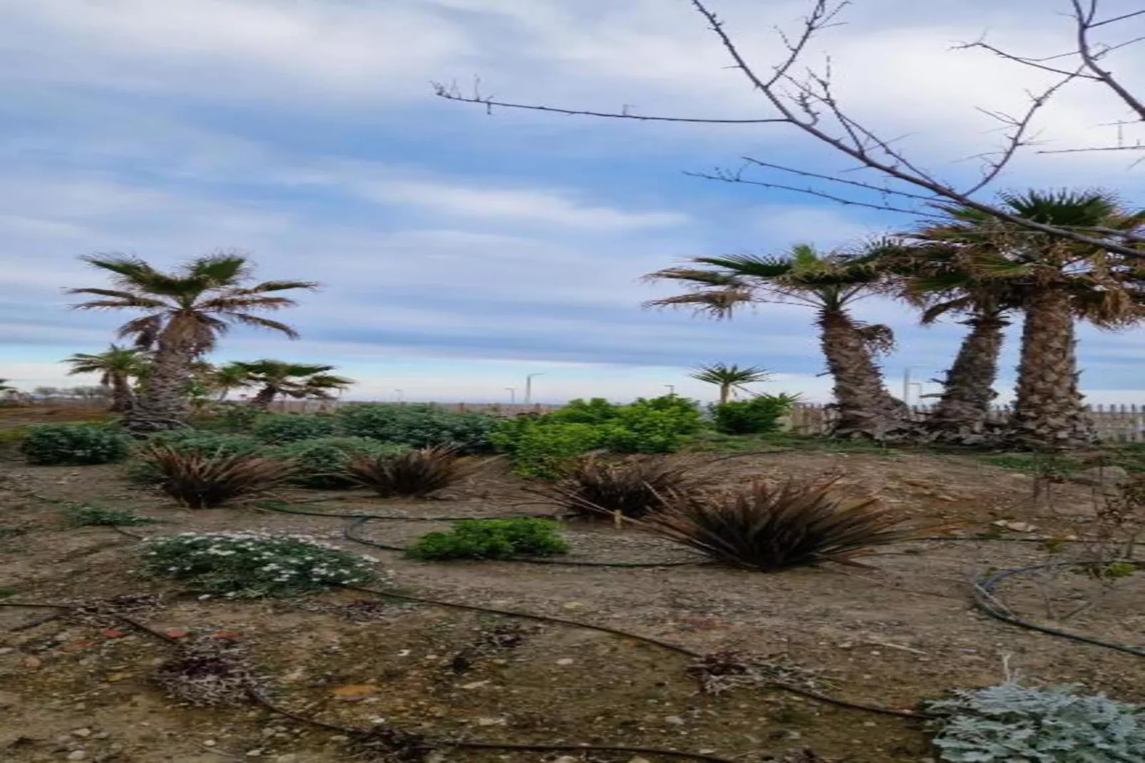 La Dune N°17 - Villa 3P6-Zones été à 20 km