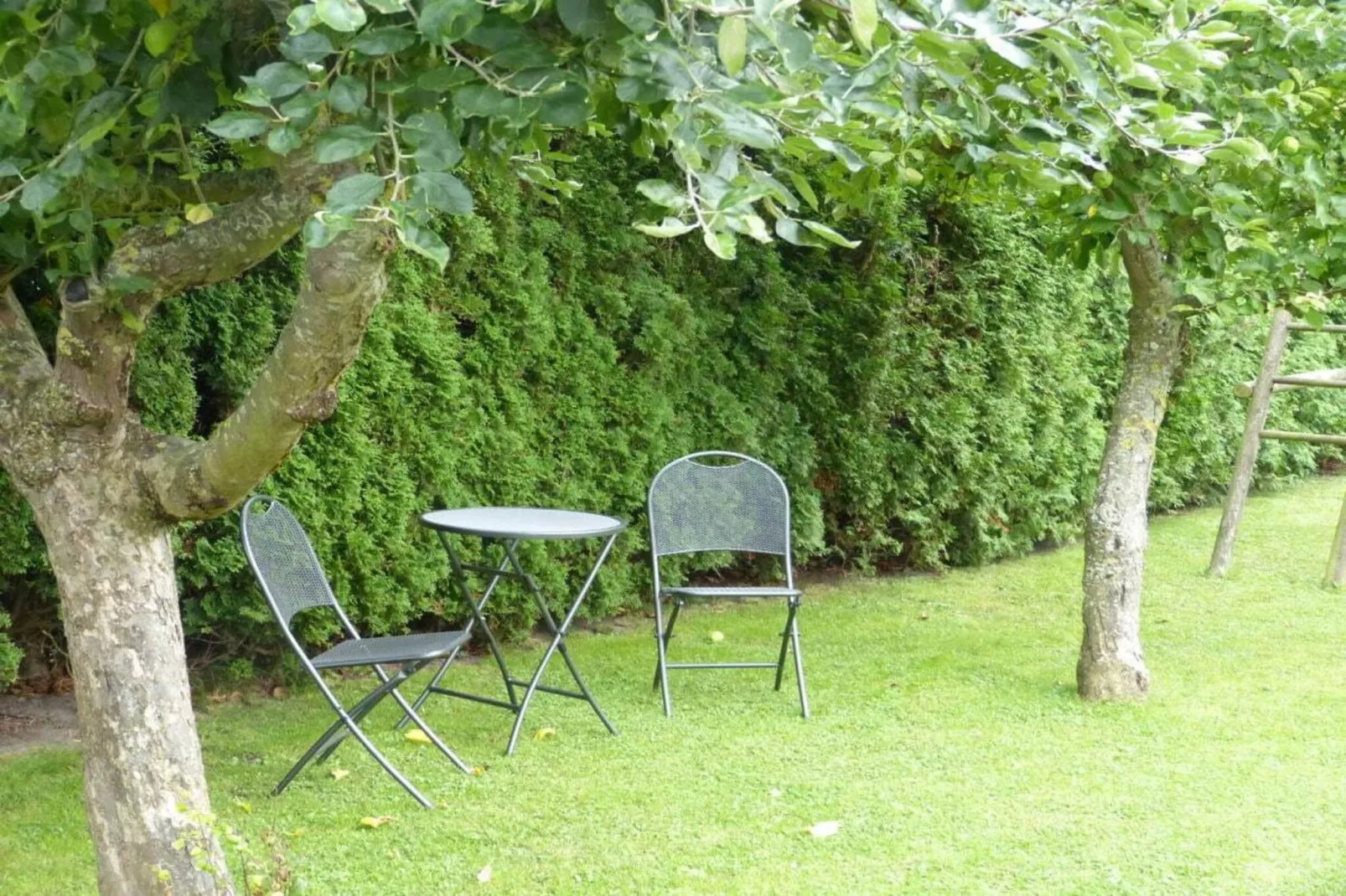 134769-Jardins en été