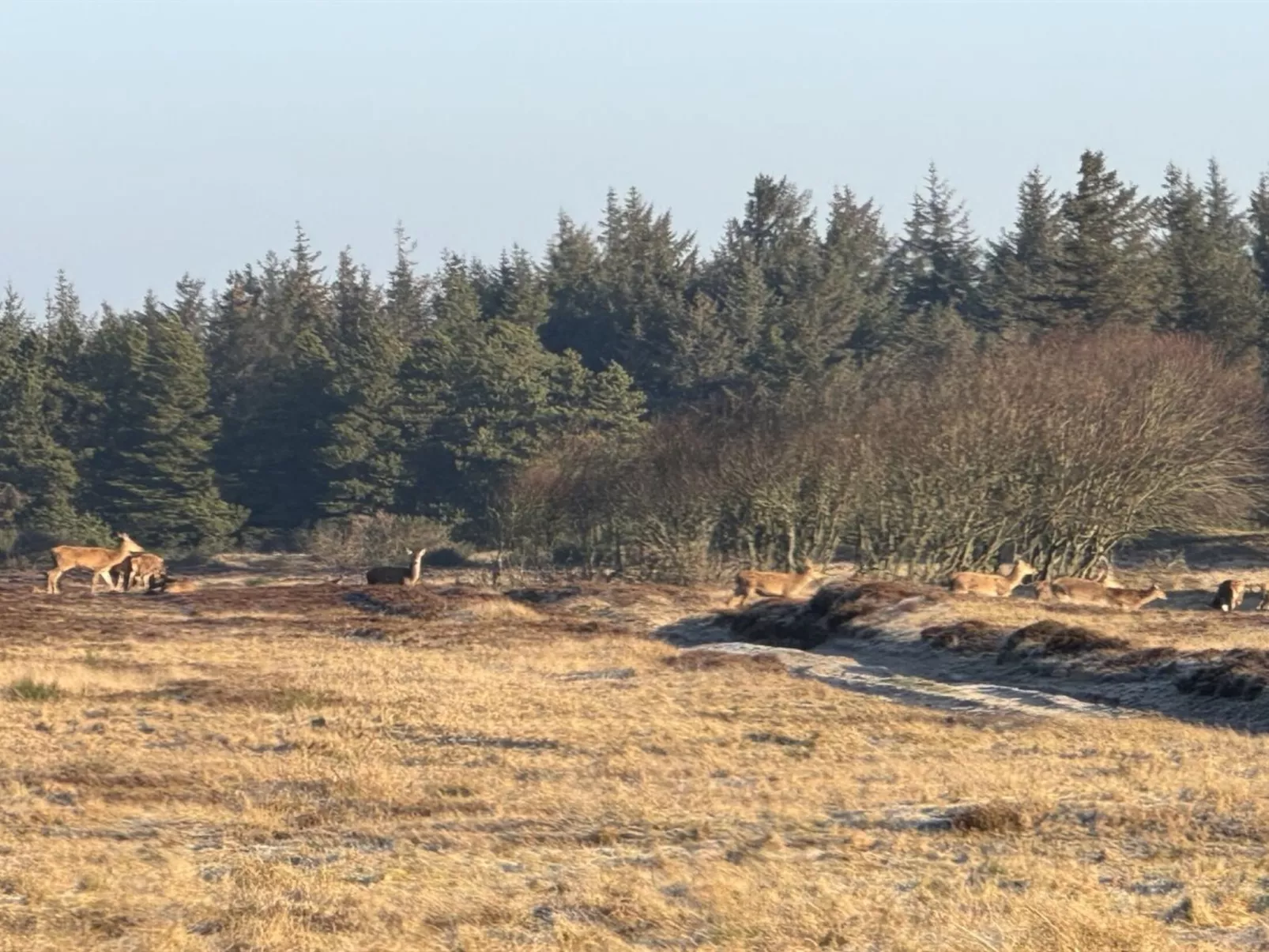 "Lucjan" - 800m from the sea - Dehors