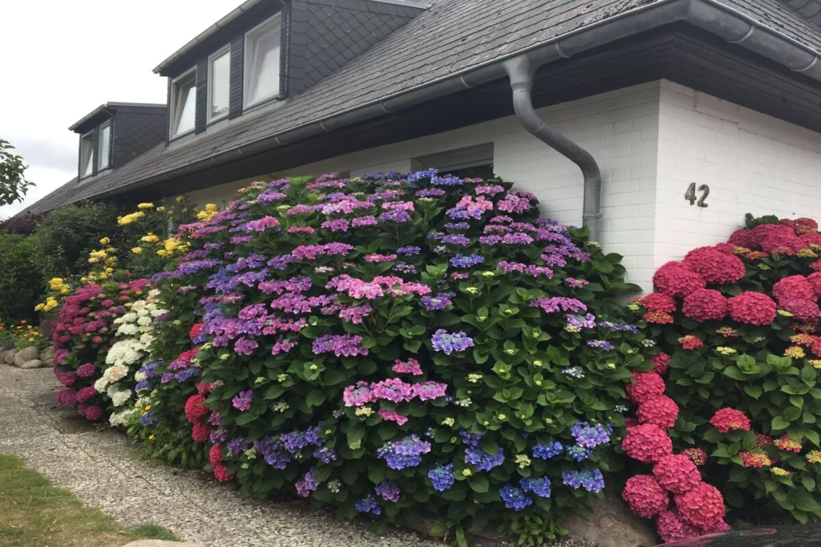 284171-Jardins en été