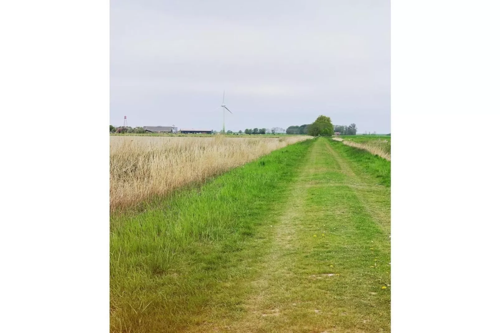 535474 - Gebiete Sommer 5 km