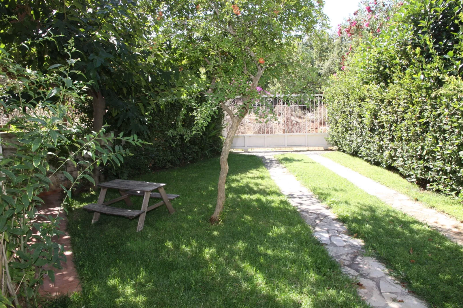Villa Almond-Gardens summer