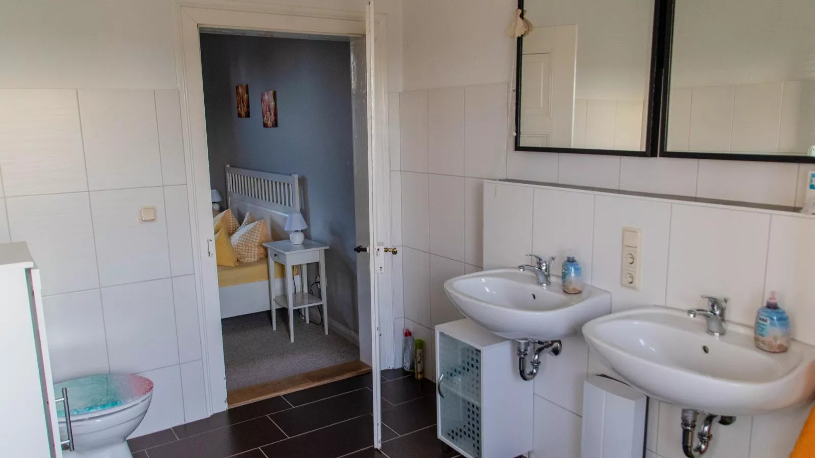 Brocken-Blick-Bathroom