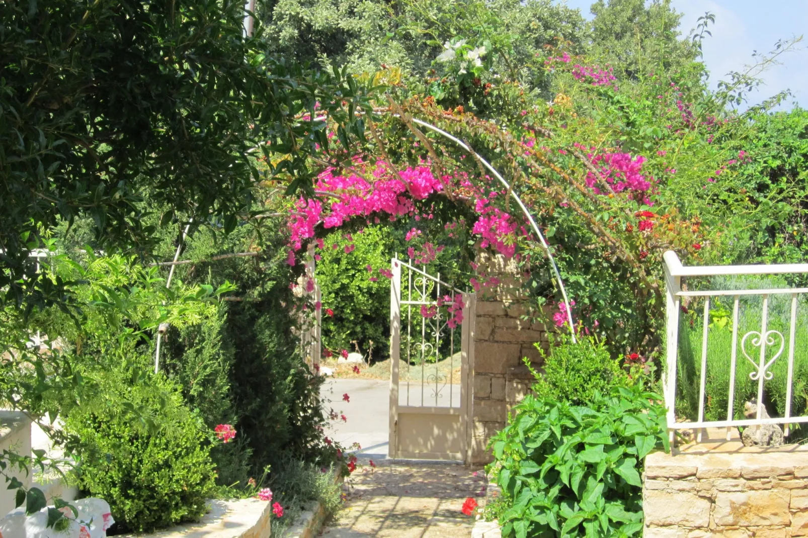 Villa Almond-Gardens summer