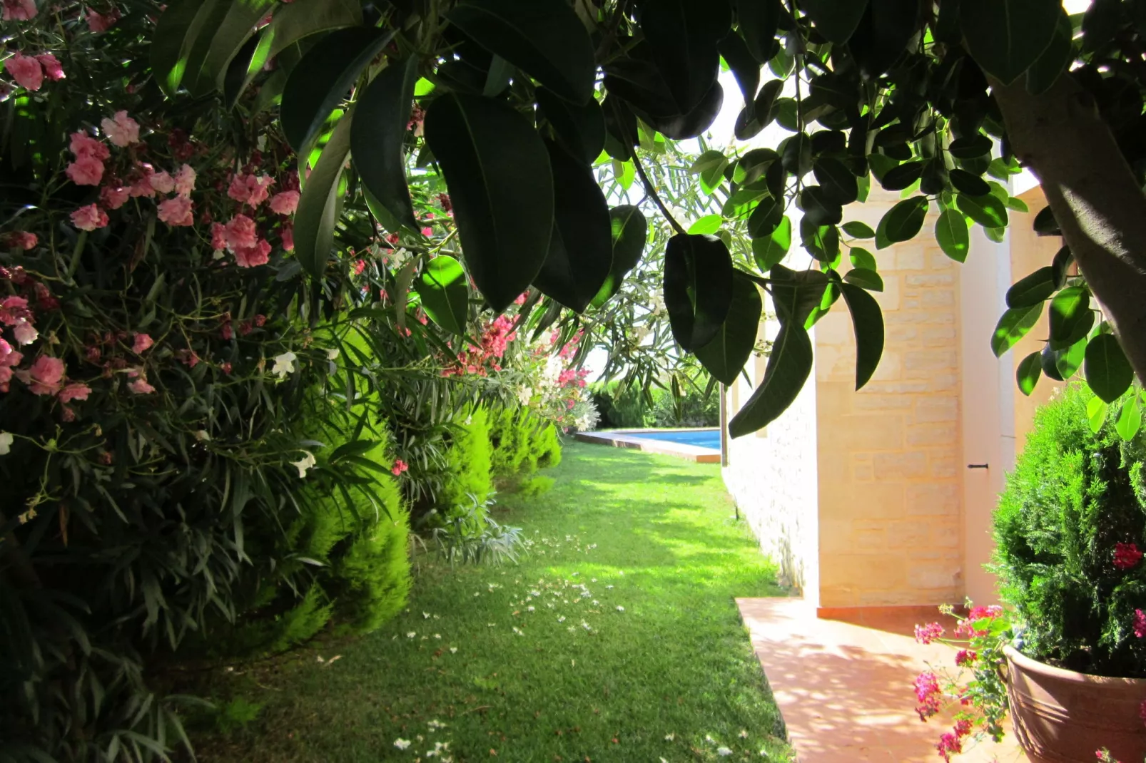 Villa Almond-Gardens summer