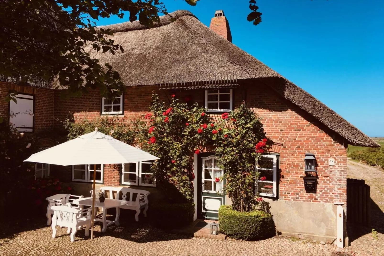 573535 - Extérieur été