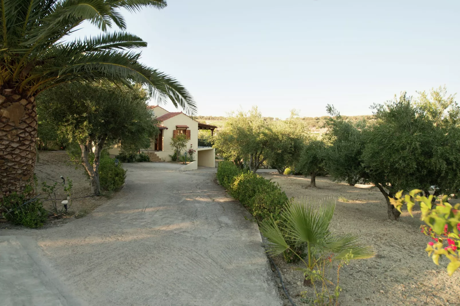 Villa Eleni en Manolis-Exterior summer