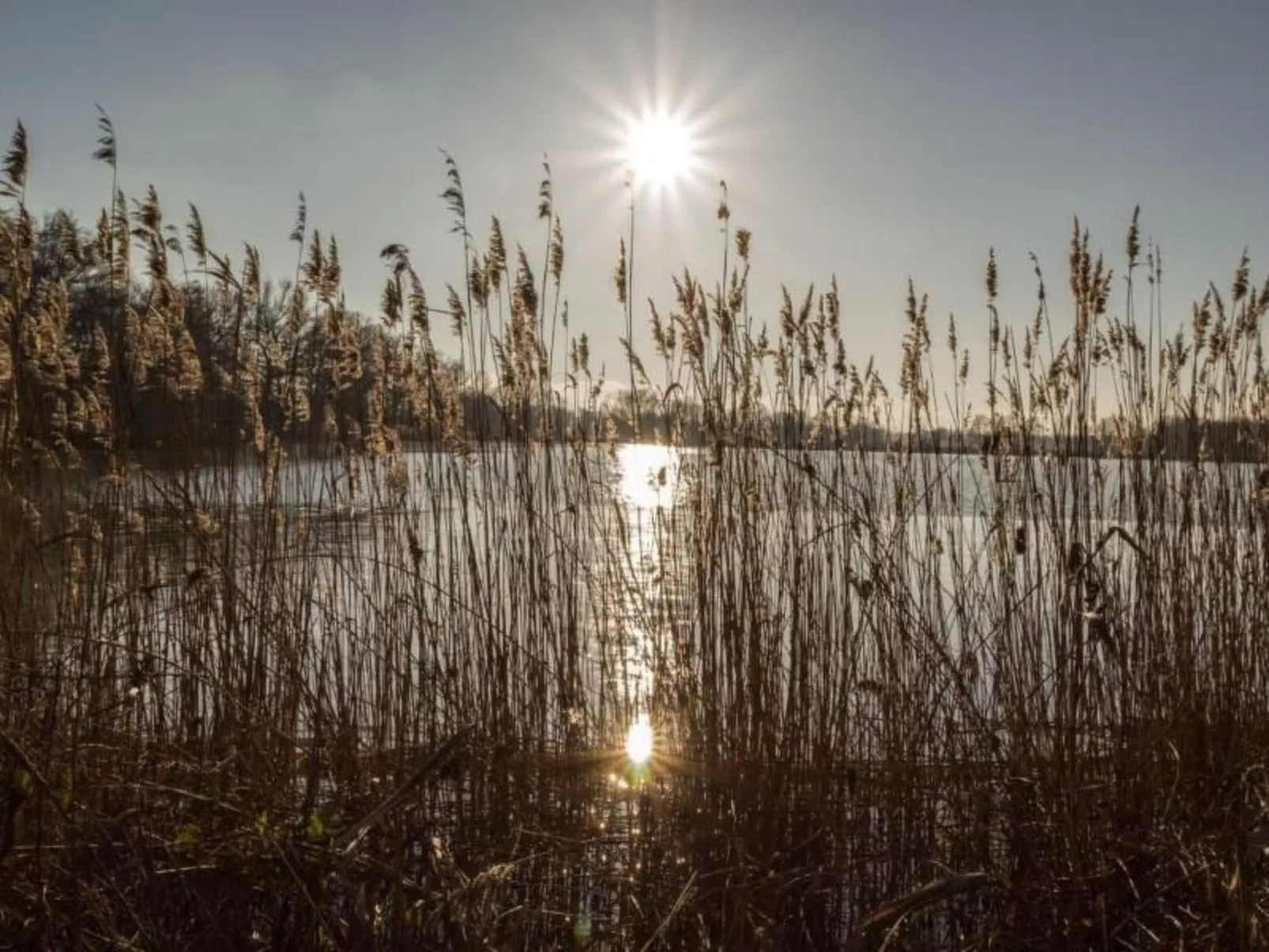 Mit Fasssauna-Dehors