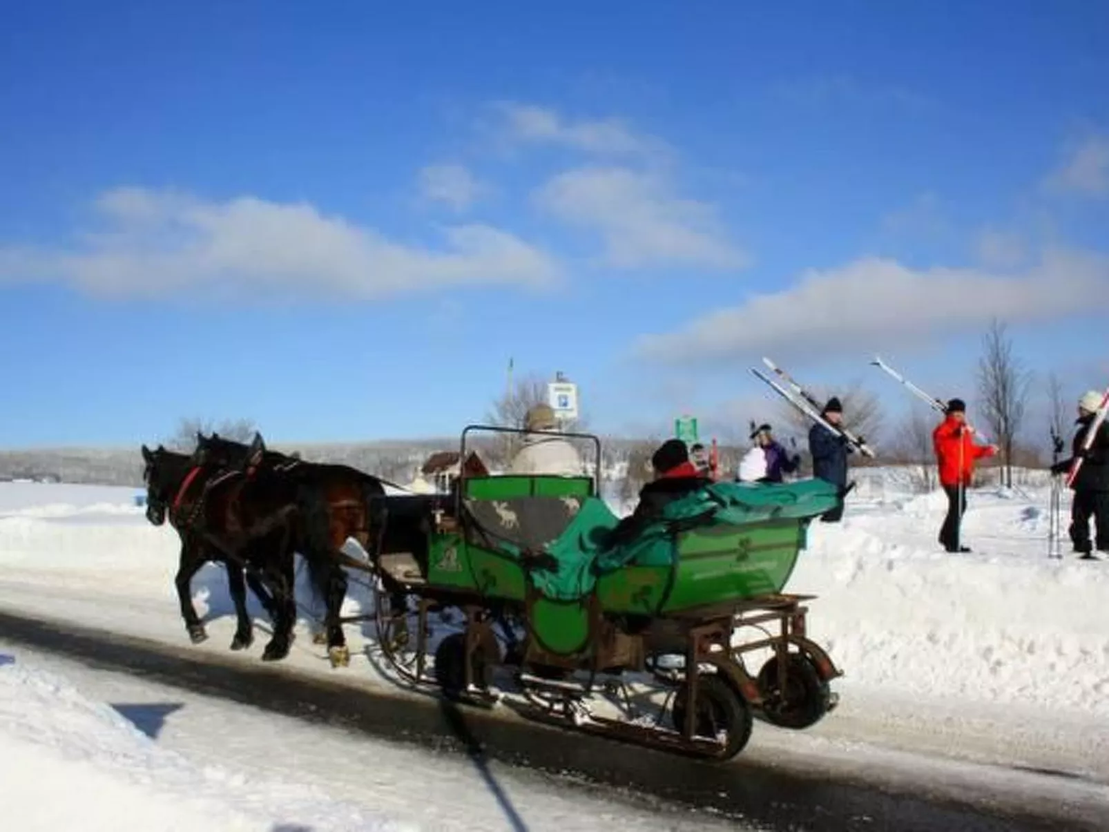 Fewo Katzengold-Dehors