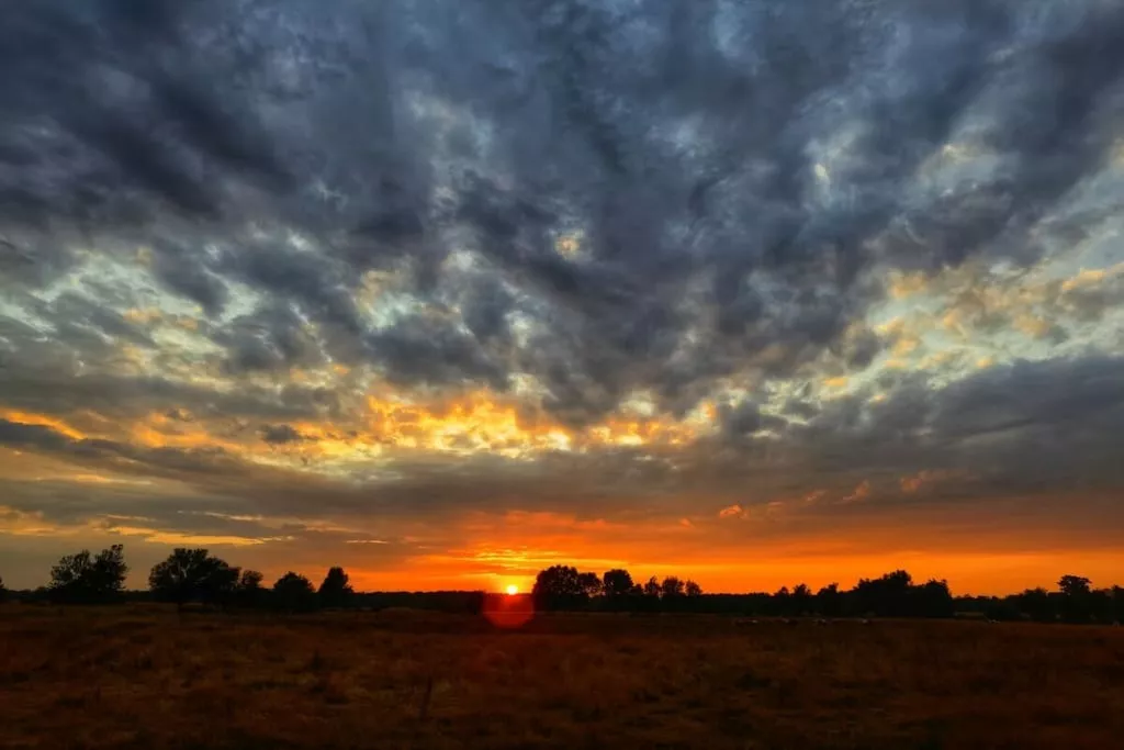 756225-Nicht zugeordnet