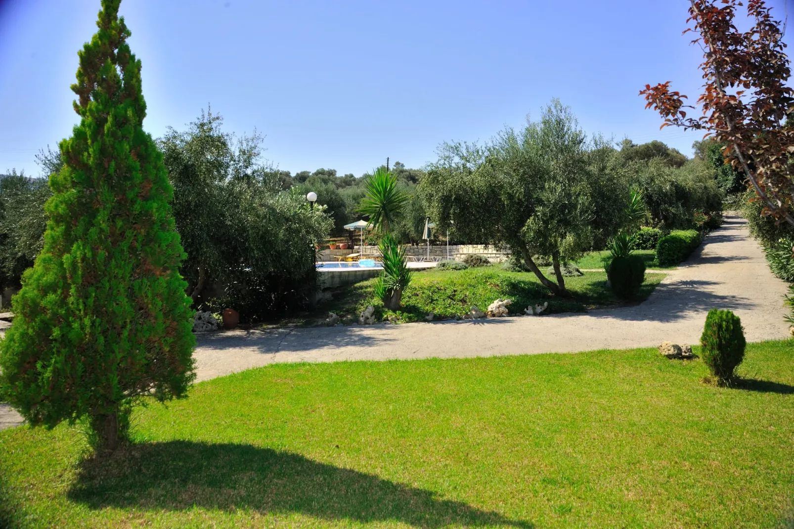 Villa Eleni en Manolis-Gardens summer